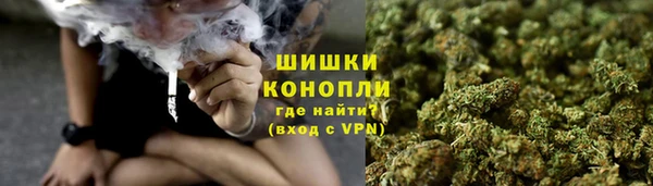 СК Верея